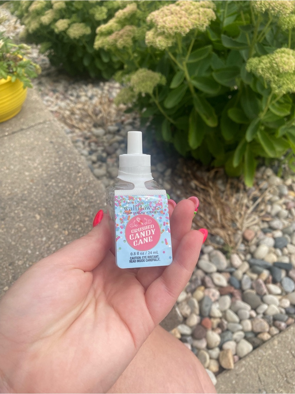 Bath & Body Works Crushed Candy Cane Wallflowers Refill - Light Blue